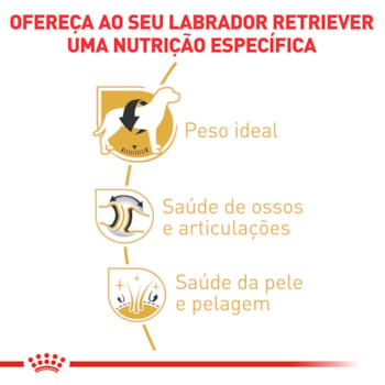 Ração Seca Royal Canin para Cães Adultos da Raça Labrador Retriever