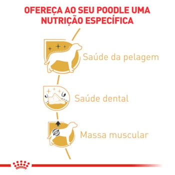 Ração Seca Royal Canin para Cães Adultos da Raça Poodle