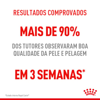 Ração Seca Royal Canin Pele & Pelagem para Gatos Adultos