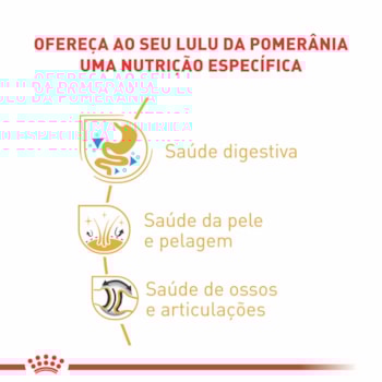 Ração Seca Royal Canin Pomeranian para Cães Adultos da Raça Lulu da Pomerânia Ração Seca Royal Canin Pomeranian para Cães Adultos da Raça Lulu da Pomerânia