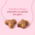 Ração Seca Royal Canin Premium Cat Kitten Gatos Filhotes