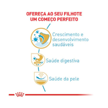 Ração Seca Royal Canin Puppy para Cães Filhotes da Raça Bulldog Francês Ração Seca Royal Canin Puppy para Cães Filhotes da Raça Bulldog Francês