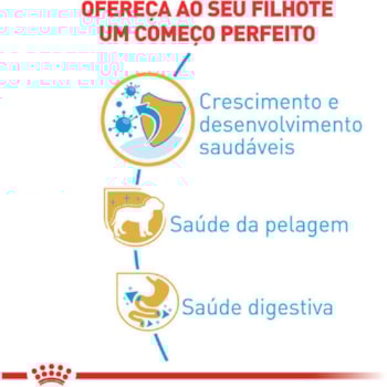 Ração Seca Royal Canin Puppy para Cães Filhotes da Raça Yorkshire Ração Seca Royal Canin Puppy para Cães Filhotes da Raça Yorkshire