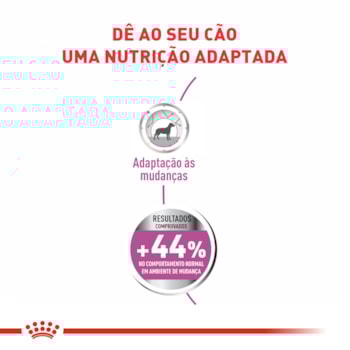 Ração Seca Royal Canin Relax Care para Cães Adultos de Porte Mini a partir de 10 meses de idade Ração Seca Royal Canin Relax Care para Cães Adultos de Porte Mini a partir de 10 meses de idade