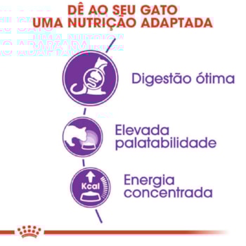 Ração Seca Royal Canin Sensible para Gatos Adultos Ração Seca Royal Canin Sensible para Gatos Adultos