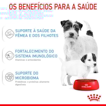 Ração Seca Royal Canin Starter Mother & Babydog Mini para Fêmeas gestantes/lactantes e Filhotes de 1 a 2 Meses de Idade