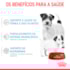 Ração Seca Royal Canin Starter Mother & Babydog Mini para Fêmeas gestantes/lactantes e Filhotes de 1 a 2 Meses de Idade