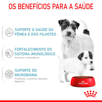 Ração Seca Royal Canin Starter Mother & Babydog Mini para Fêmeas gestantes/lactantes e Filhotes de 1 a 2 Meses de Idade Ração Seca Royal Canin Starter Mother & Babydog Mini para Fêmeas gestantes/lactantes e Filhotes de 1 a 2 Meses de Idade