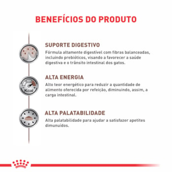 Ração Seca Royal Canin Veterinary Diet Gastrointestinal Gatos com Doenças Intestinais