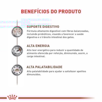 Ração Seca Royal Canin Veterinary Diet Gastrointestinal Gatos com Doenças Intestinais