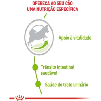 Ração Seca Royal Canin X-Small Adult 8+ para Cães Adultos e Idosos de Porte Miniatura com 8 Anos ou mais Ração Seca Royal Canin X-Small Adult 8+ para Cães Adultos e Idosos de Porte Miniatura com 8 Anos ou mais
