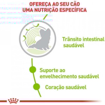 Ração Seca Royal Canin X-Small Ageing 12+ para Cães Adultos e Idosos de Porte Miniatura com 12 Anos ou mais Ração Seca Royal Canin X-Small Ageing 12+ para Cães Adultos e Idosos de Porte Miniatura com 12 Anos ou mais