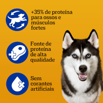 Ração Úmida Pedigree High Protein Sachê Porco e Carne ao Molho para Cães Adultos 100g