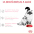 Ração Úmida Royal Canin Lata Mother & Babycat Instinctive para Gatas gestantes/lactantes e Gatos Filhotes