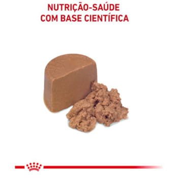 Ração Úmida Royal Canin Lata Veterinary Diet Recovery para Cães e Gatos em Recuperação