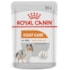 Ração Úmida Royal Canin Sachê Coat Beauty para Cães Adultos