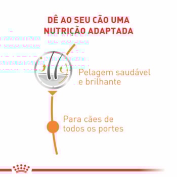Ração Úmida Royal Canin Sachê Coat Beauty para Cães Adultos Ração Úmida Royal Canin Sachê Coat Beauty para Cães Adultos