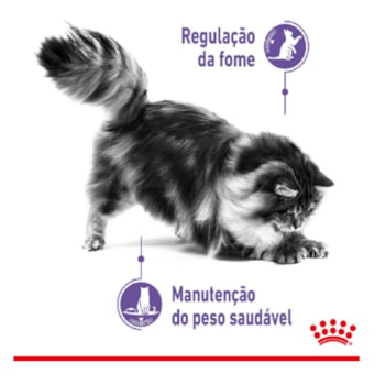 Ração Úmida Royal Canin Sachê Controle do Apetite para Gatos Adultos