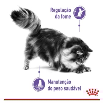 Ração Úmida Royal Canin Sachê Controle do Apetite para Gatos Adultos Ração Úmida Royal Canin Sachê Controle do Apetite para Gatos Adultos
