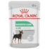 Ração Úmida Royal Canin Sachê Cuidado Digestivo para Cães Adultos