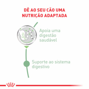 Ração Úmida Royal Canin Sachê Cuidado Digestivo para Cães Adultos