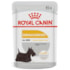 Ração Úmida Royal Canin Sachê Dermacomfort para Cães Adultos