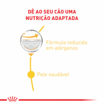 Ração Úmida Royal Canin Sachê Dermacomfort para Cães Adultos