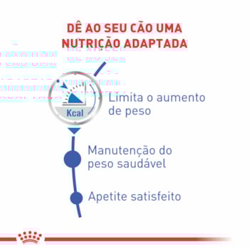 Ração Úmida Royal Canin Sachê Light Weight Care para Cães Adultos Ração Úmida Royal Canin Sachê Light Weight Care para Cães Adultos