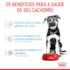 Ração Úmida Royal Canin Sachê Maxi Puppy para Cães Filhotes de Porte Grande