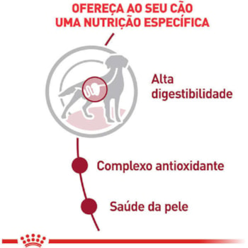 Ração Úmida Royal Canin Sachê Medium Adult Cães Adultos de Porte Médio