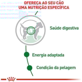 Ração Úmida Royal Canin Sachê Mini Adult para Cães Adultos de Porte Pequeno Ração Úmida Royal Canin Sachê Mini Adult para Cães Adultos de Porte Pequeno