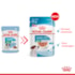 Ração Úmida Royal Canin Sachê Mini Puppy para Cães Filhotes de Porte Pequeno