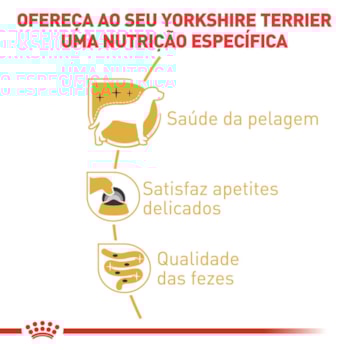 Ração Úmida Royal Canin Sachê para Cães Adultos da Raça Yorkshire Ração Úmida Royal Canin Sachê para Cães Adultos da Raça Yorkshire