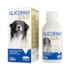 Suplemento Vetnil Glicopan Gold para Cães e Gatos